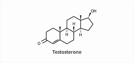 테스토스테론 화학기호