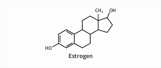 에스트로겐 화학기호